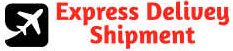 Express Delivery Service Shipment Logo